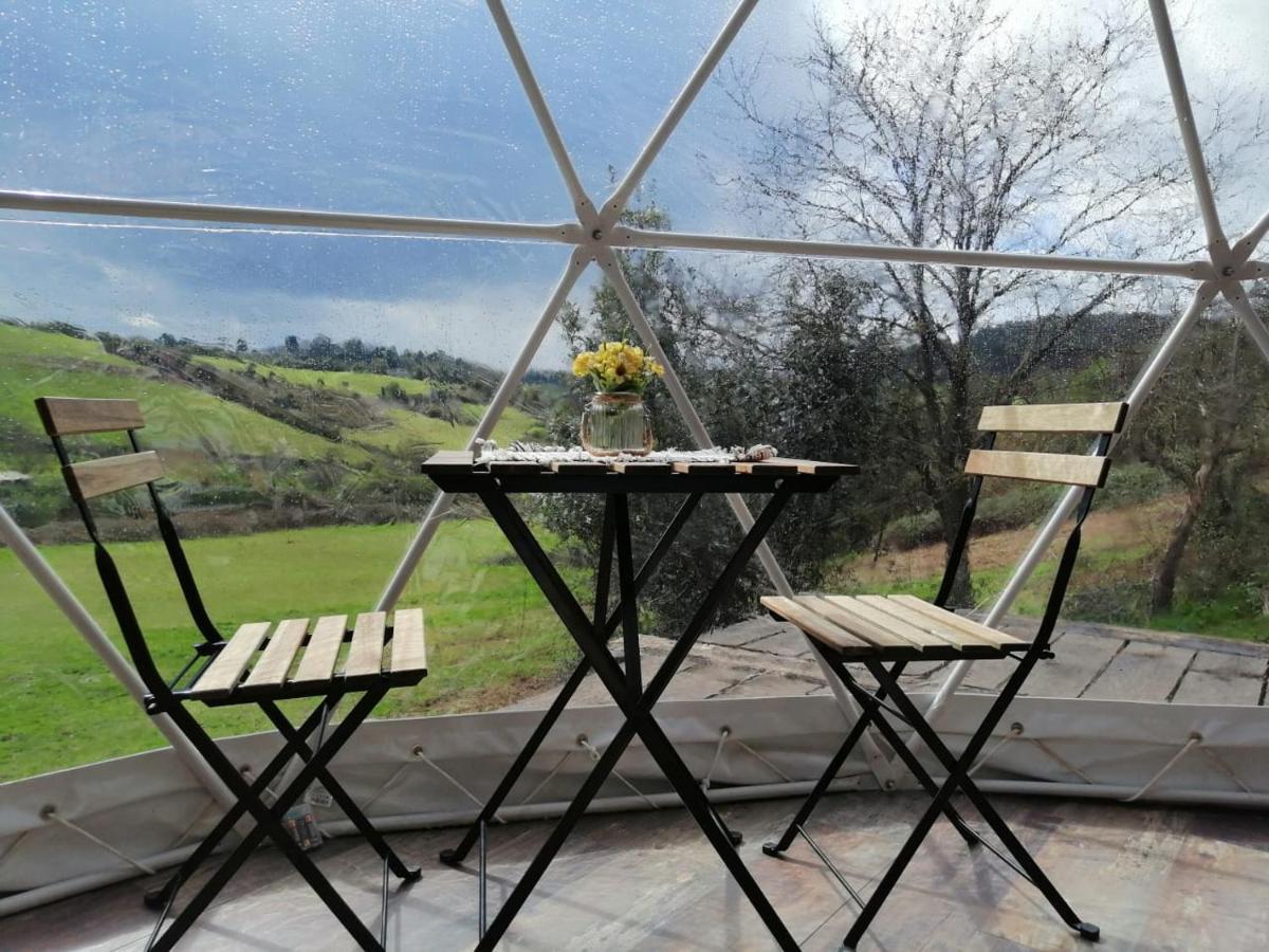 Отель Glamping Quintana Хихон Экстерьер фото