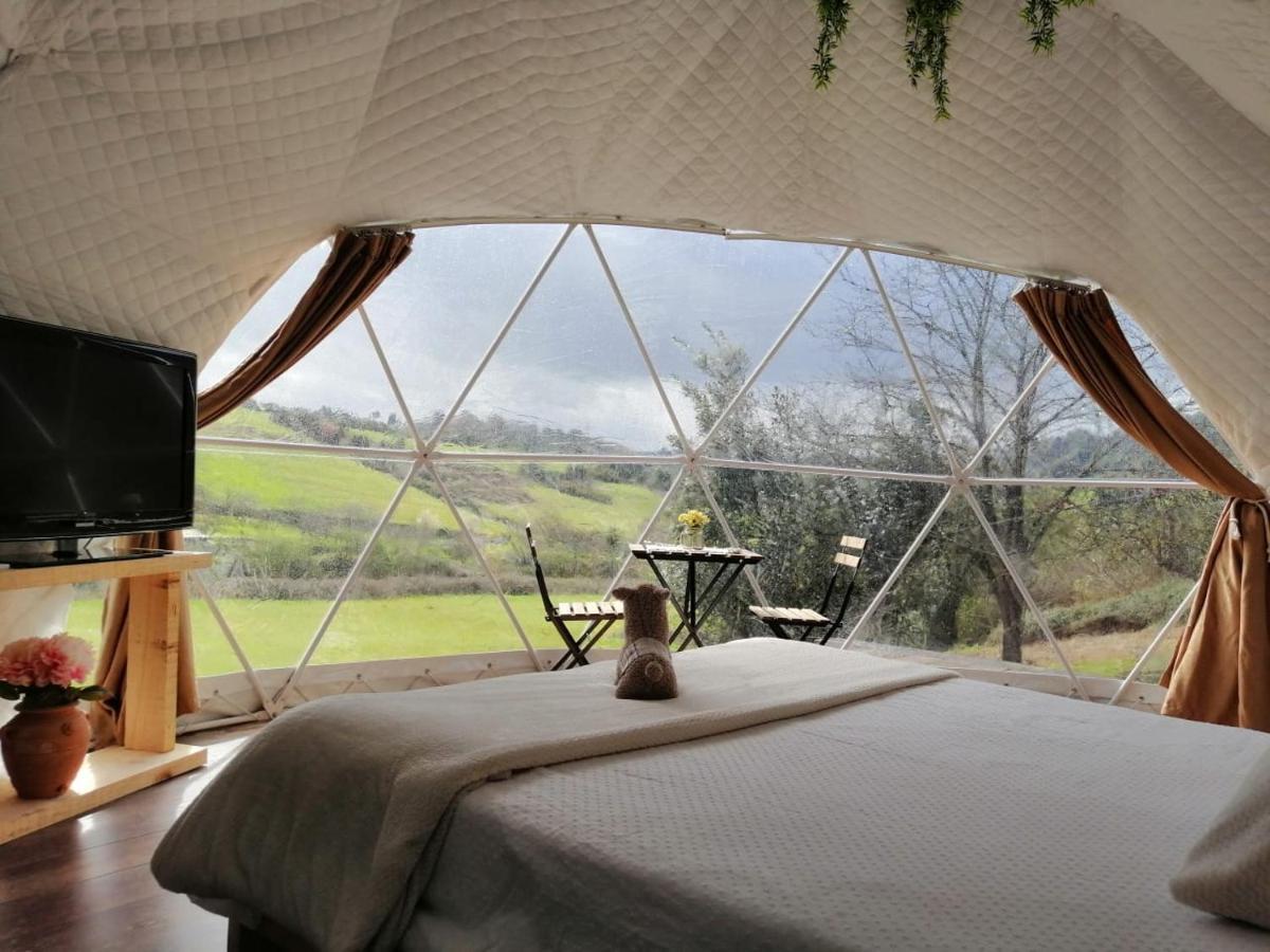 Отель Glamping Quintana Хихон Экстерьер фото